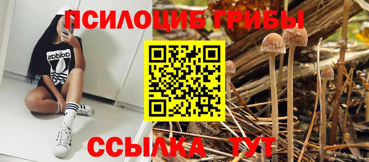 Псилоцибиновые грибы мицелий  Вход с VPN  Псилоцибиновые грибы Psilocybine cubensis  Геленджик 